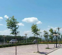 校园风采